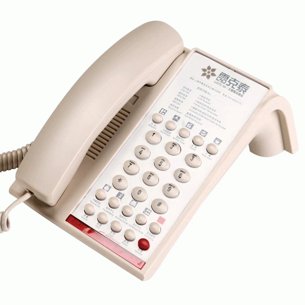 SN-0009BEIG 2